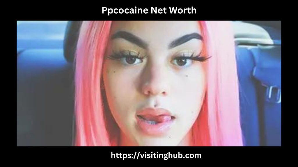 Ppcocaine Net Worth