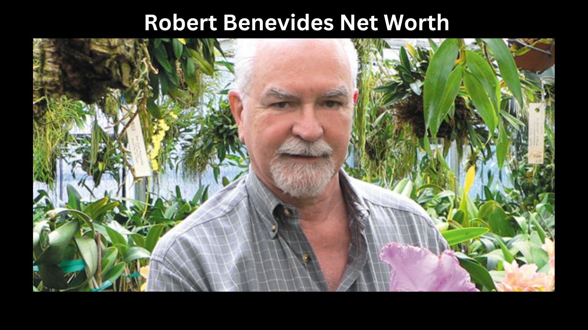 Robert Benevides Net Worth