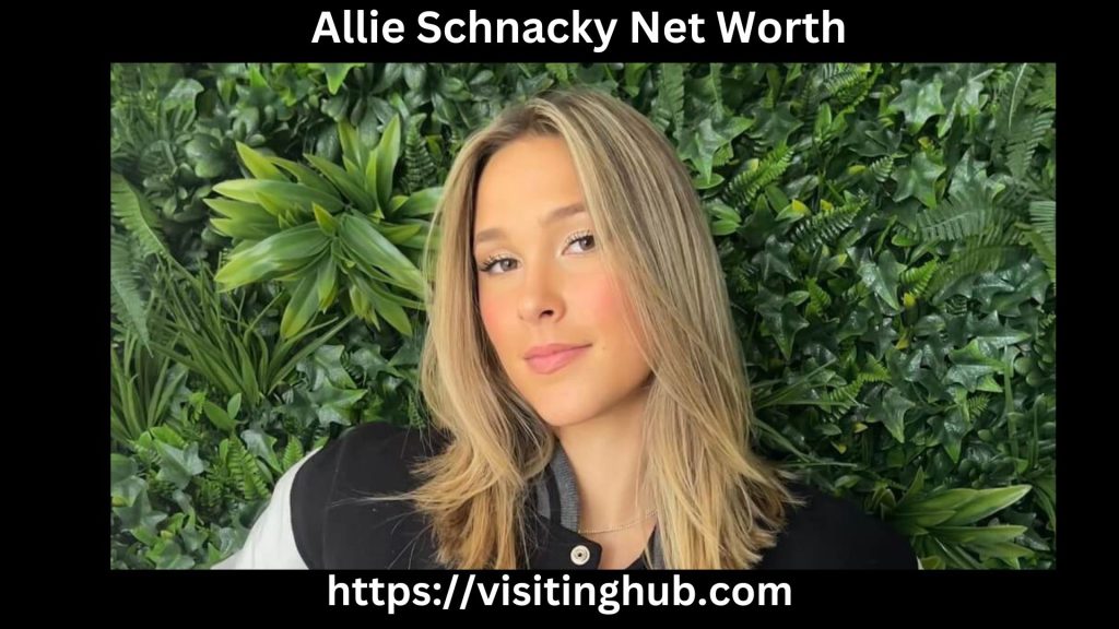 Allie Schnacky Net Worth