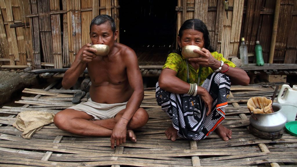 Insights from the Toto Community: Top Picks and Recommendations