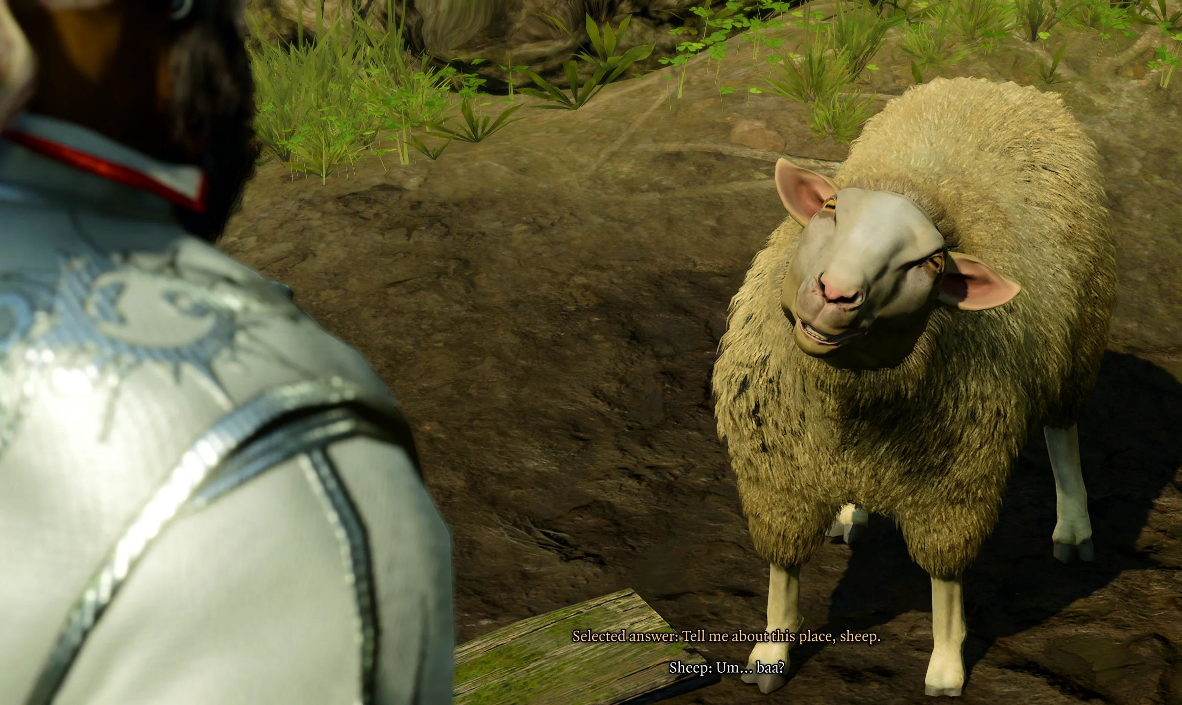 Anime with Sheep Host Riddles – Can You Guess?