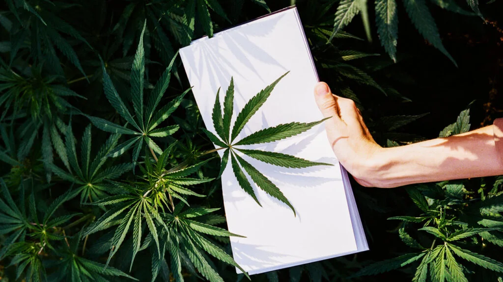 THC and TAC for Inflammatory Conditions: A Healing Approach