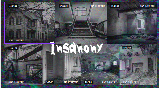 InsAnony: Browse Instagram Stories Without Being Seen