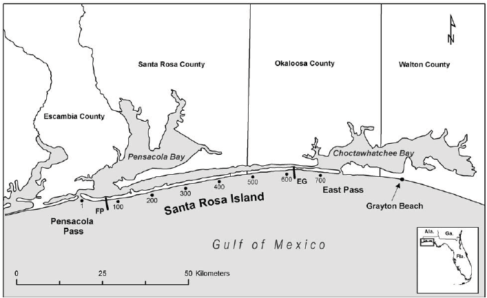 Interactive Map of Florida Panhandle – Explore Now