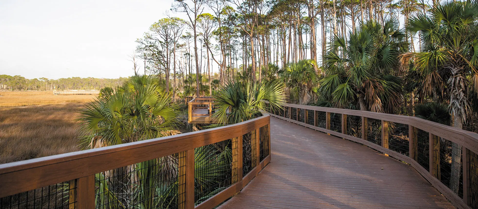 Why You’ll Love Our Florida: A Guide to the Sunshine State