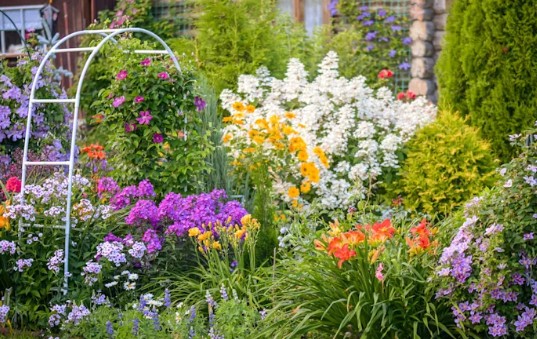 6 Hidden Garden Risks Homeowners Often Overlook